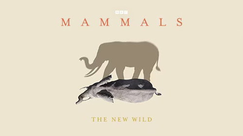 The New Wild still