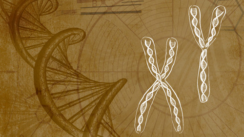 Inner Evolution Season 1 Episode 3 - Quantum Perceptions of Matter