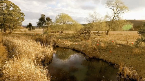 Hope Springs still
