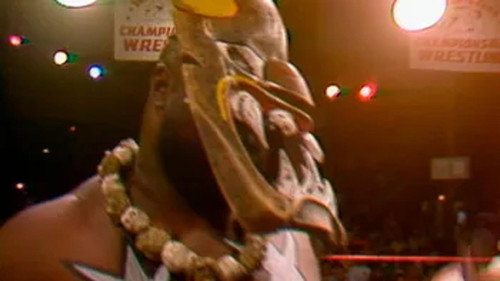 WCCW - July 02, 1988 still