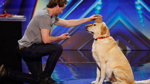 America's Got Talent Season 18 Episode 10 - Auditions 9