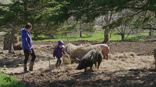 Farm Crime Season 1 Episode 5 - Black Market Butcher