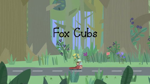 Fox Cubs still