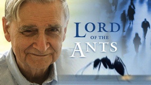 NOVA Season 35 Episode 17 - Lord of the Ants