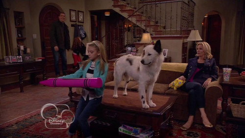 Dog with a Blog Season 1 Episode 11 - Stan-ing Guard