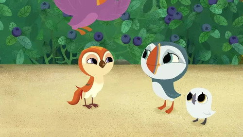 Puffin Rock Season 3 Episode 16 - On the Scent