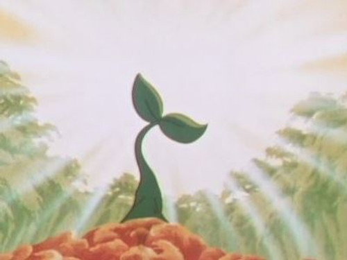 The Sun Tree still