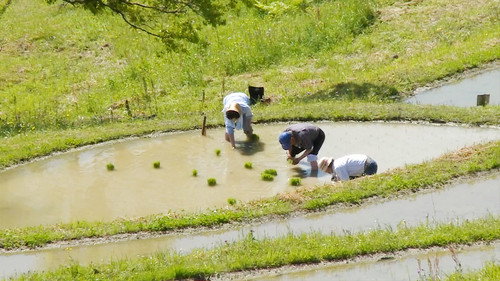 Magical Japanese Season 3 Episode 10 - Mud