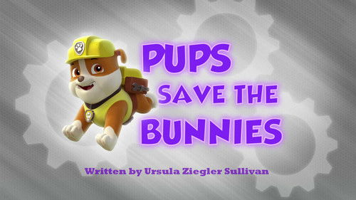 undefined Season 1 Episode 13 - Pups Save the Bunnies