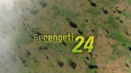 Natural World Season 23 Episode 11 - Serengeti 24