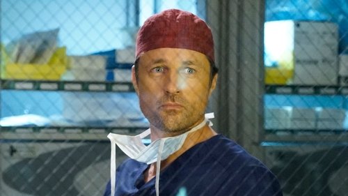 Grey's Anatomy Season 12 Episode 23 - At Last