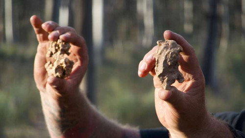 Aussie Gold Hunters Season 5 Episode 12 - Episode 12