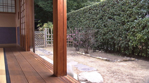 Japanology Plus Season 6 Episode 5 - Wood: Culture