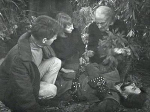 Doctor Who Season 2 Episode 22 - The Lion