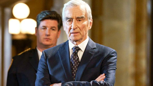 Law & Order Season 22 Episode 22 - Open Wounds