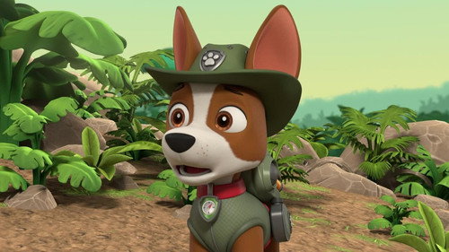 PAW Patrol Season 9 Episode 2 - Pups Save a Humdinger Doll