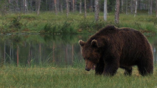 Mountain Men Season 9 Episode 13 - Meltdown: Tornado Alley