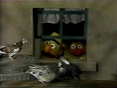 Sesame Street Season 20 Episode 9 - Episode 578