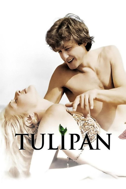 Tulipan poster