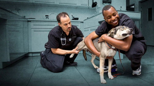 The Vet Life Season 3 Episode 1 - Hurricane Harvey Special
