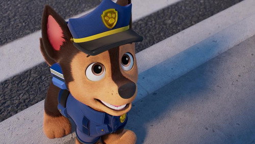 PAW Patrol Season 12 Episode 14 - Search & Rescue: the Mystery of the Missing Kitties