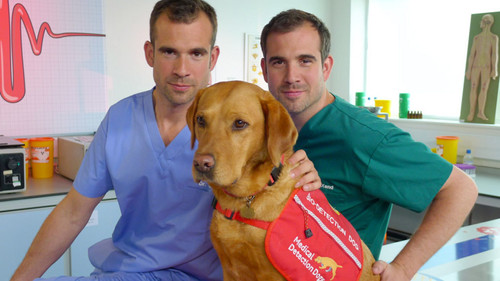 Operation Ouch! Season 2 Episode 9 - The Dog Who Saves Lives