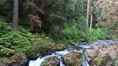 PARK'D with Abby Hornacek Season 8 Episode 4 - Olympic National Park