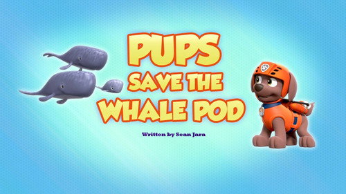 undefined Season 7 Episode 36 - Pups Save the Whale Pod