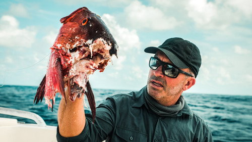 Chasing Monsters Season 4 Episode 1 - Besieged by Sharks