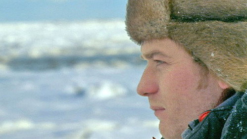 Nature Season 20 Episode 17 - The Polar Bears of Churchill with Ewan McGregor