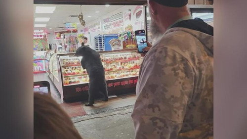 Customer Wars Season 7 Episode 12 - Caught in the Act