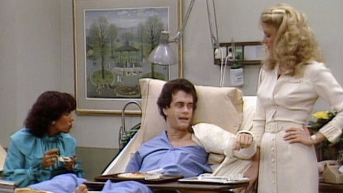 Bosom Buddies Season 2 Episode 17 - Not With My Sister, You Pig