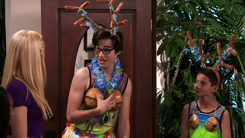 Jessie's Aloha Holidays with Parker and Joey still