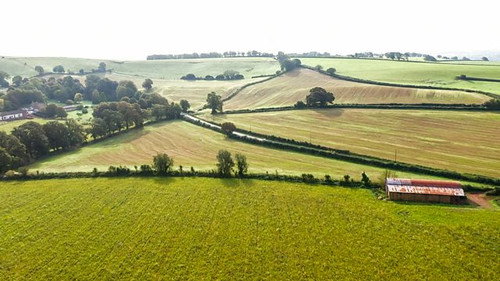 Plant Britain still