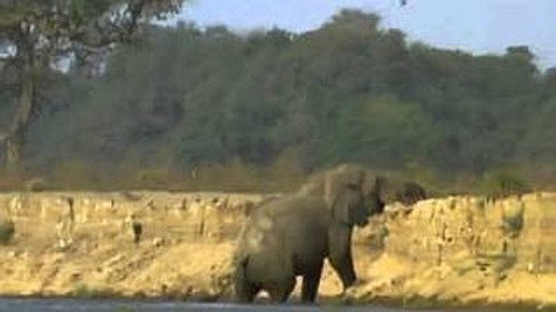 Natural World Season 17 Episode 7 - Vanishing Pools of the Zambezi