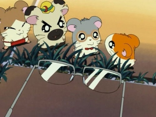Hamtaro Season 1 Episode 29 - The Search for Dad's Glasses!