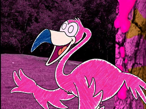 Pinky and the Pink Phenomenon still