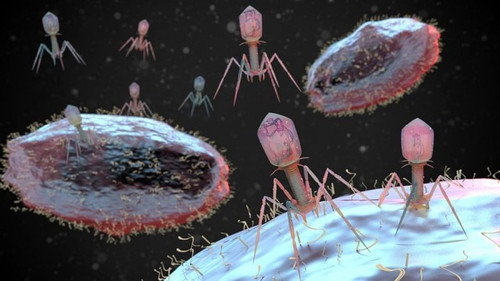 Is a Superbug Pandemic Coming? still