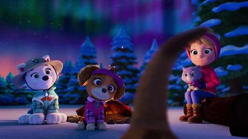 PAW Patrol Season 12 Episode 3 - Katie's Arctic Road Trip