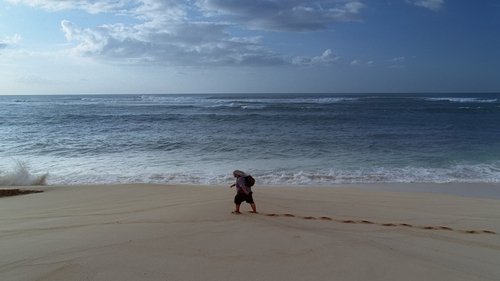 Lost Season 1 Episode 18 - Numbers