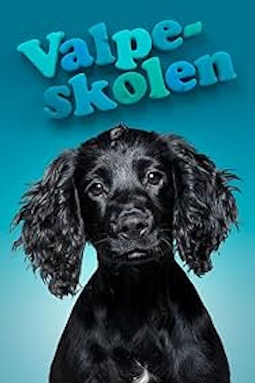 The Puppy School poster