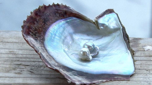 Ise-Shima: Timeless World of Pearls still