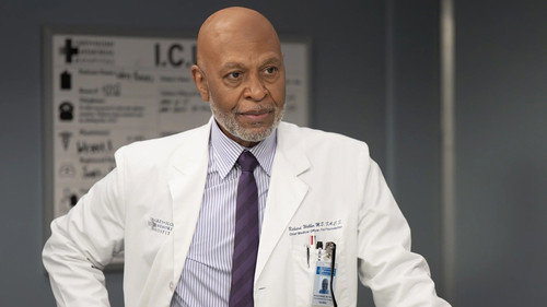 Grey's Anatomy Season 22 Episode 13 - Love the Way You Lie