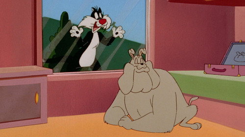 The Sylvester & Tweety Mysteries Season 2 Episode 6 - The Granny Vanishes