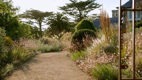 Gardening Australia Season 37 Episode 13 - Episode 13 Autumn: Iconic Foliage Garden & Begonias 101