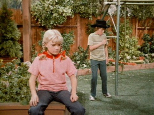 The Brady Bunch Season 4 Episode 17 - Bobby's Hero