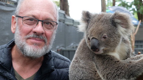 Catalyst Season 22 Episode 1 - Are We Killing Our Koalas?