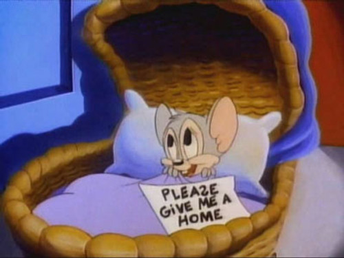 Tiny Toon Adventures Season 1 Episode 11 - Looking Out for the Little Guy
