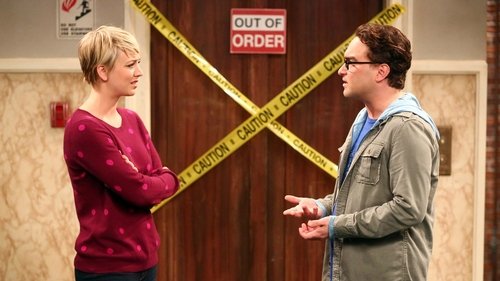 The Big Bang Theory Season 8 Episode 7 - The Misinterpretation Agitation