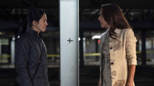 The Cleaning Lady Season 3 Episode 5 - All of Me